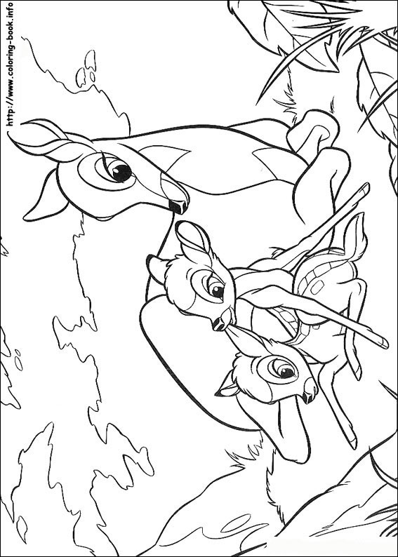 Bambi coloring picture
