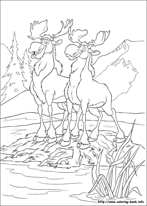 Brother Bear 2 coloring picture