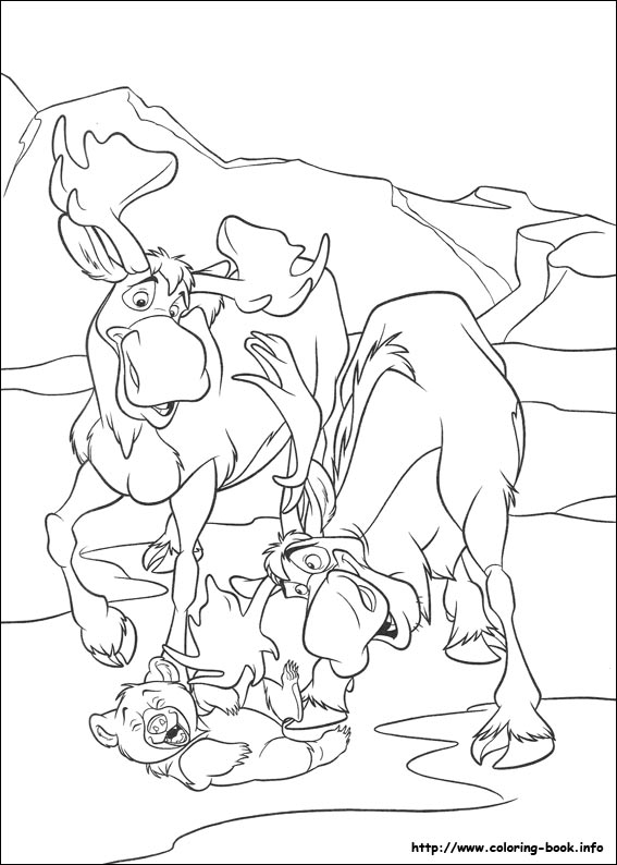 Brother Bear 2 coloring picture