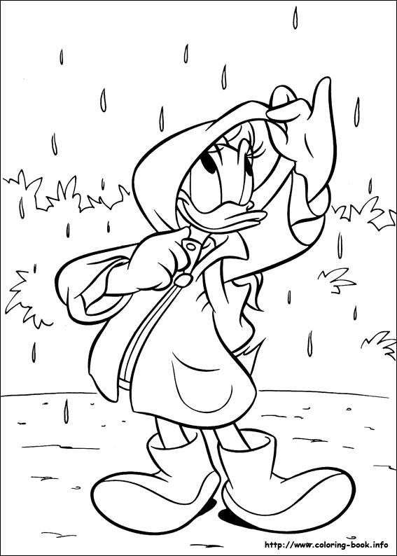 Daisy coloring picture