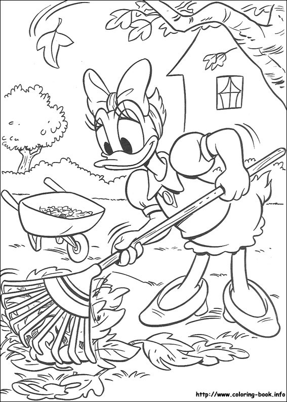 Donald coloring picture