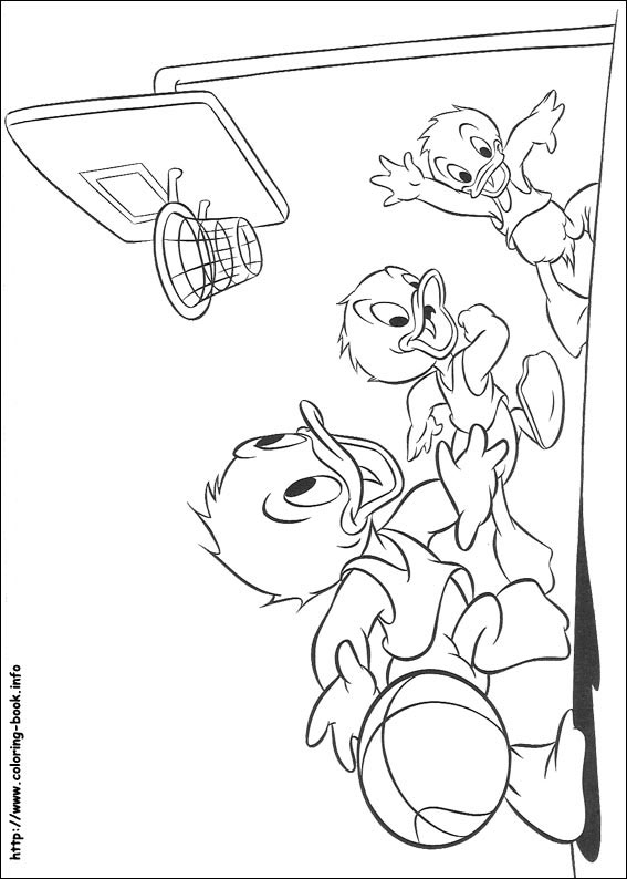 Donald coloring picture