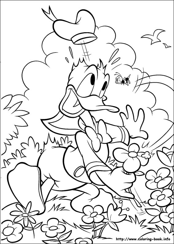 Donald coloring picture