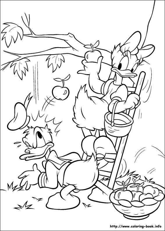 Donald coloring picture