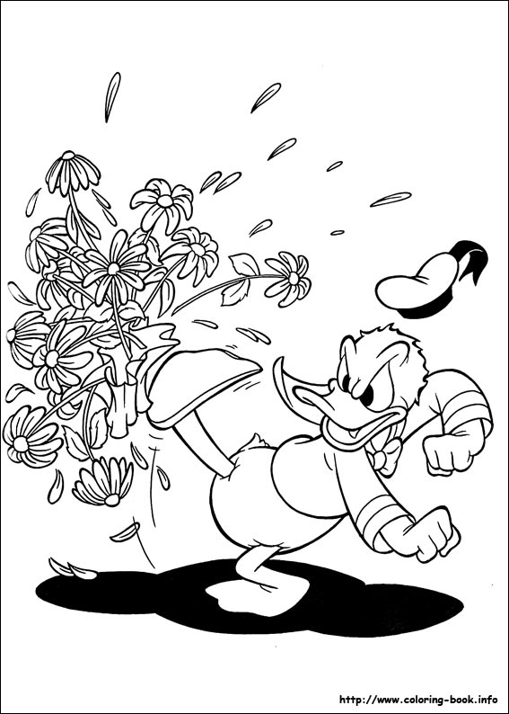 Donald coloring picture