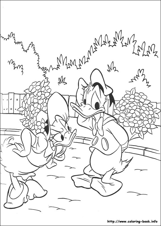 Donald coloring picture