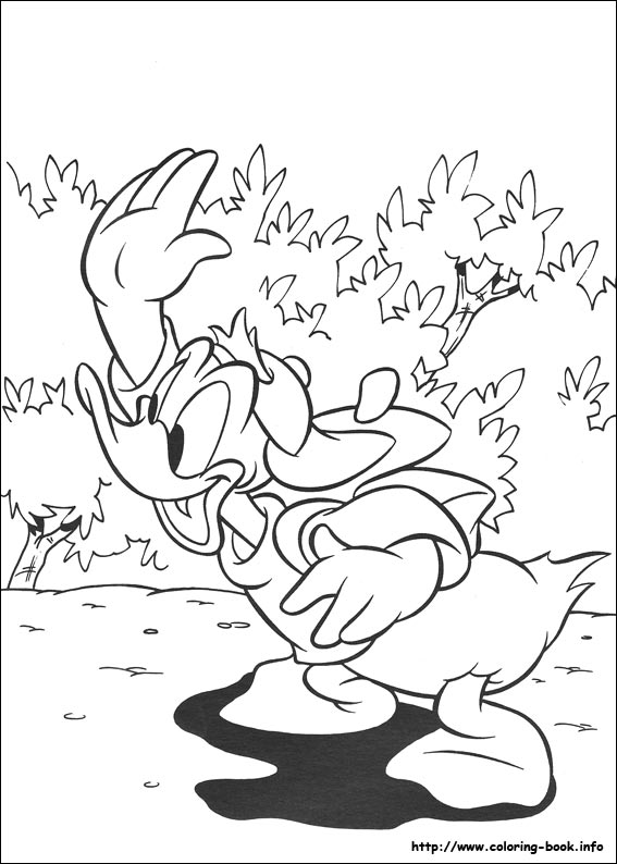 Donald coloring picture