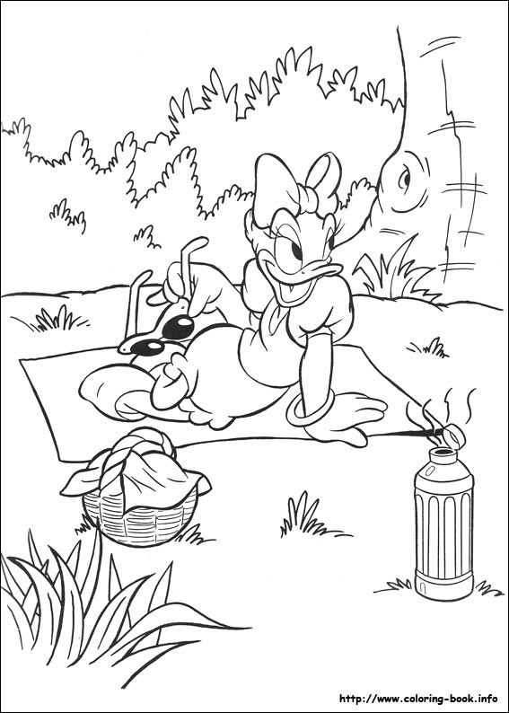 Donald coloring picture