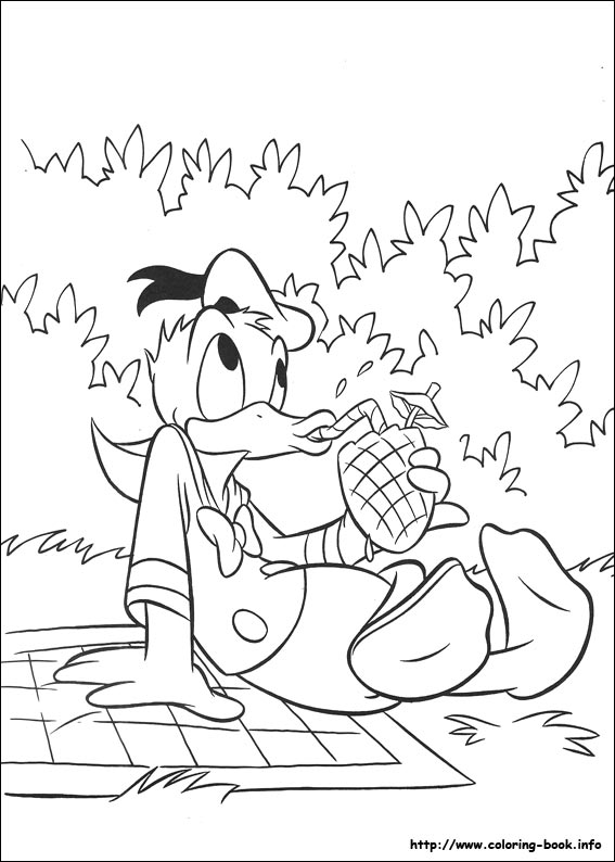 Donald coloring picture