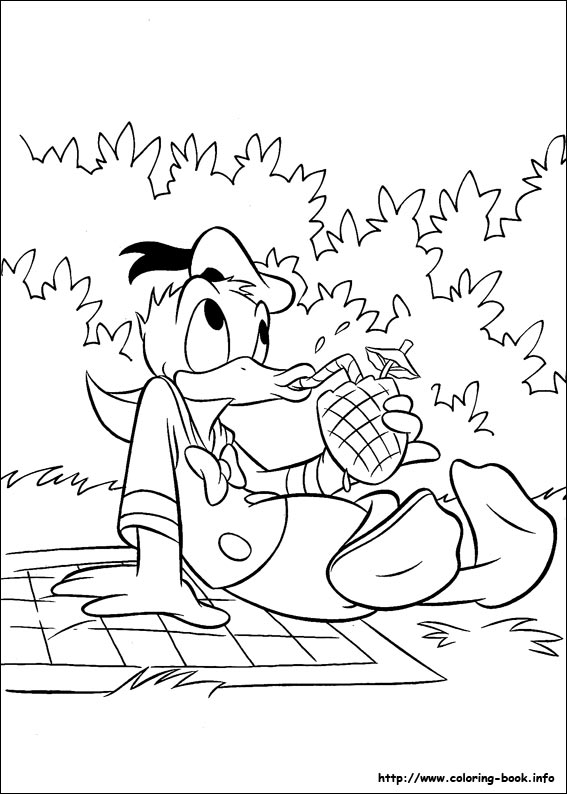 Donald coloring picture
