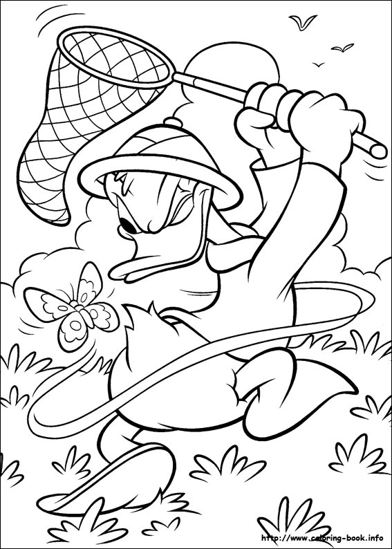 Donald coloring picture