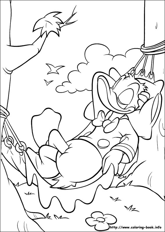 Donald coloring picture