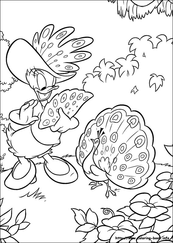 Donald coloring picture