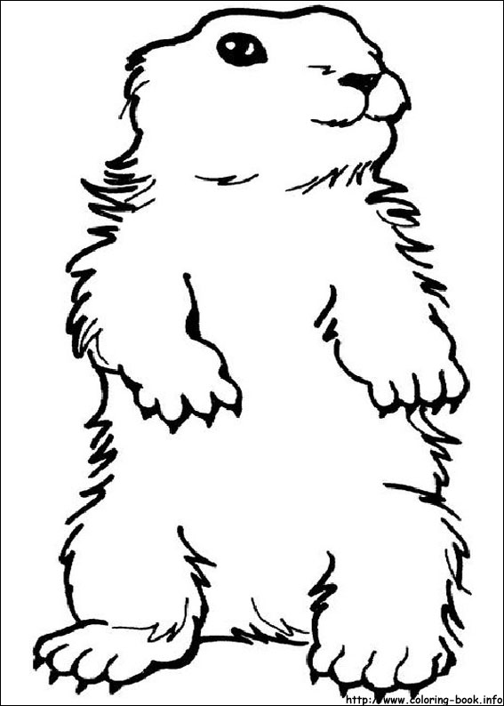 Groundhog Day coloring picture