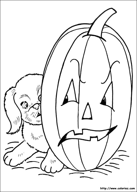 Halloween coloring picture