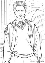 Harry Potter Coloring Pages On Coloring Book Info