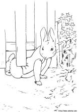 Peter Rabbit Coloring Pages On Coloring Book Info