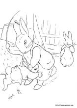 peter rabbit coloring pages 30 peter rabbit pictures to print and color last updated january 30th - Peter Rabbit Coloring Pages peter rabbit coloring pages 30 peter rabbit pictures to print and color last updated january 30th - Peter Rabbit Coloring Pages