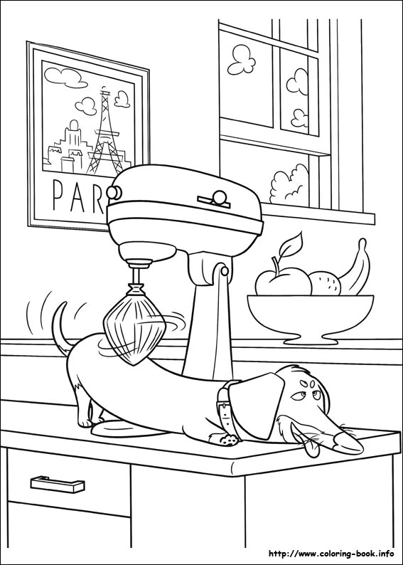 The secret life of Pets coloring picture