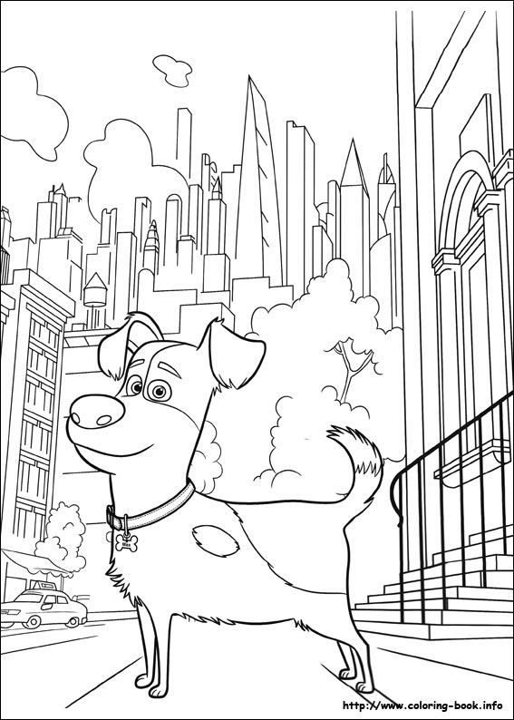 The secret life of Pets coloring picture