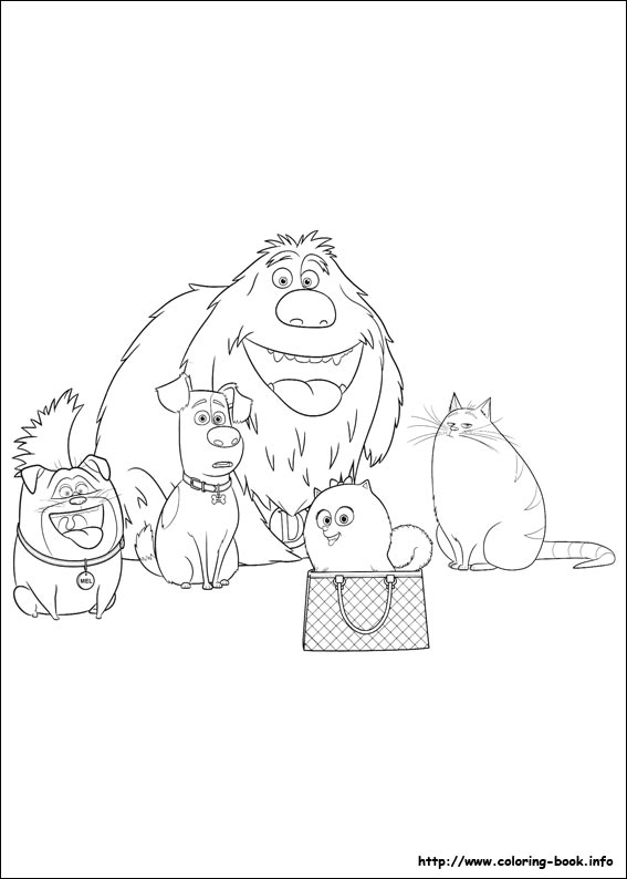 The secret life of Pets coloring picture