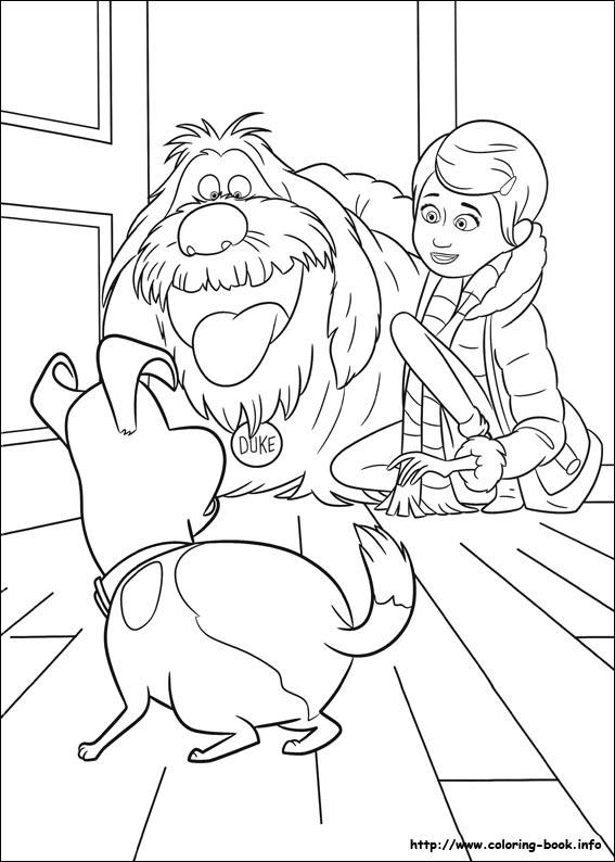 The secret life of Pets coloring picture