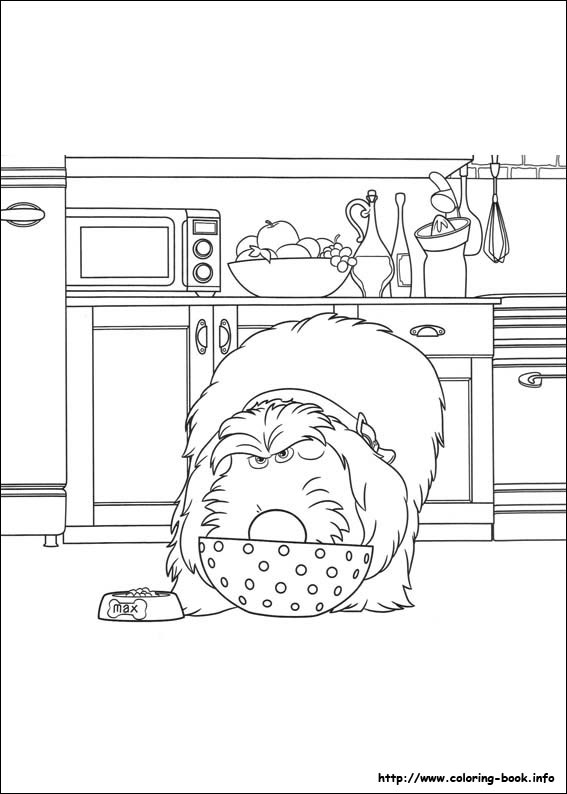 The secret life of Pets coloring picture