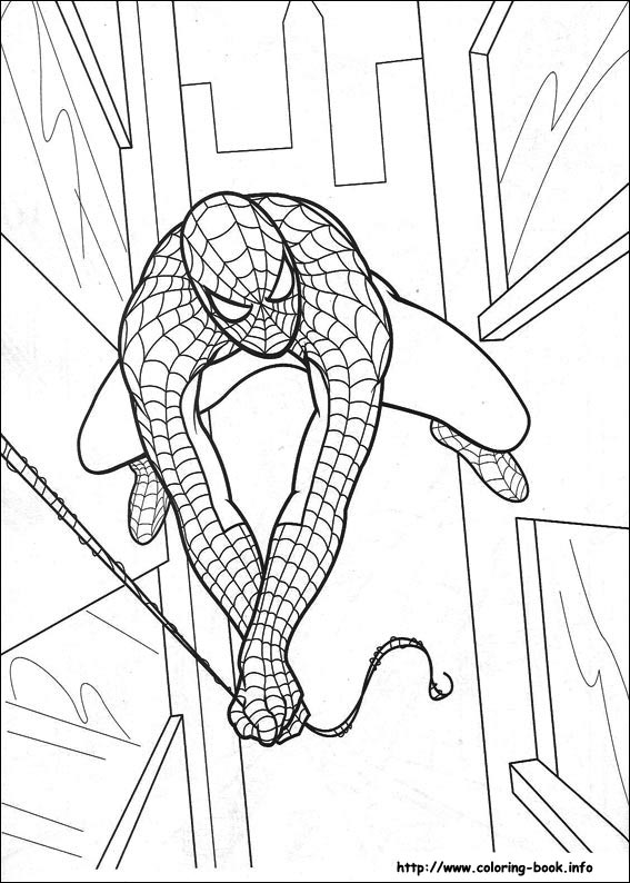 Spiderman coloring picture