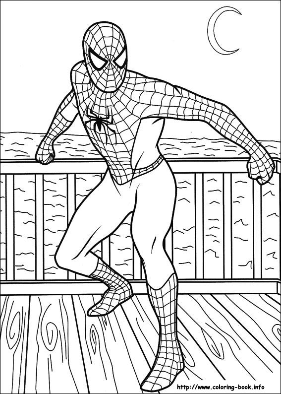 Spiderman coloring picture