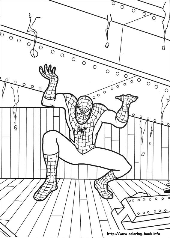 Spiderman coloring picture