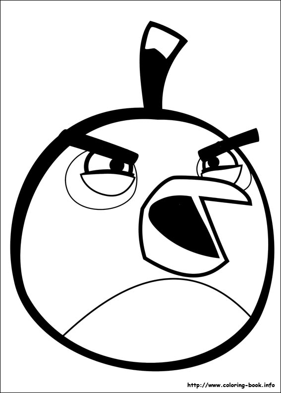 Angry Birds coloring picture