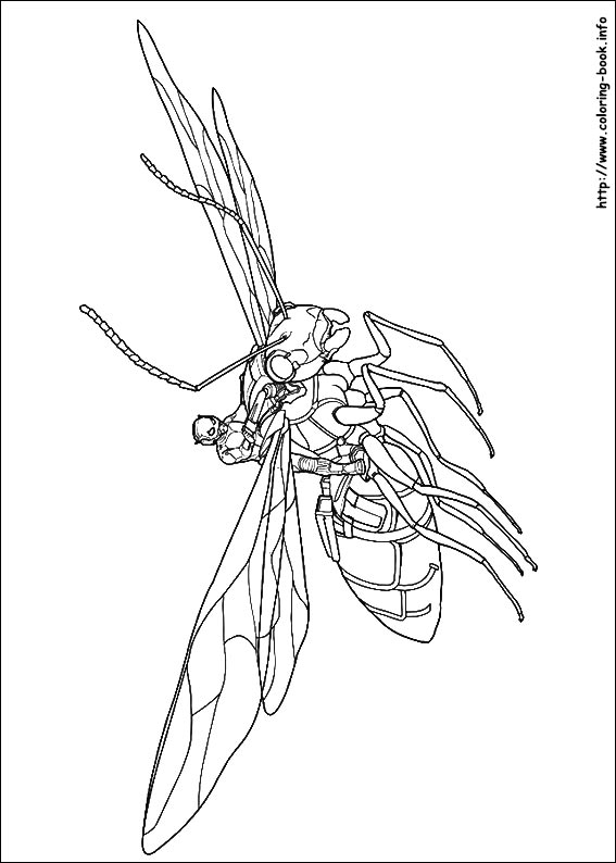 Ant-Man coloring picture