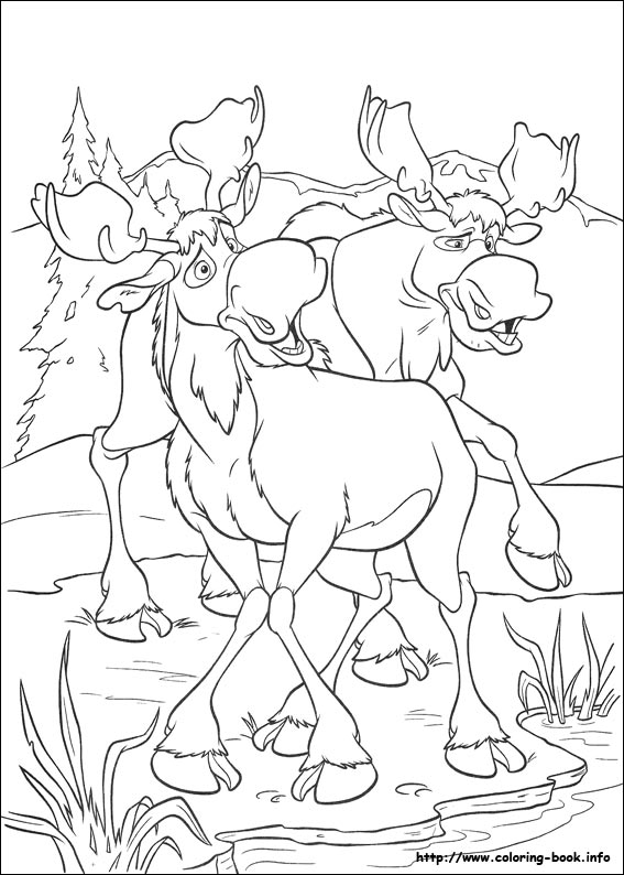 Brother Bear 2 coloring picture