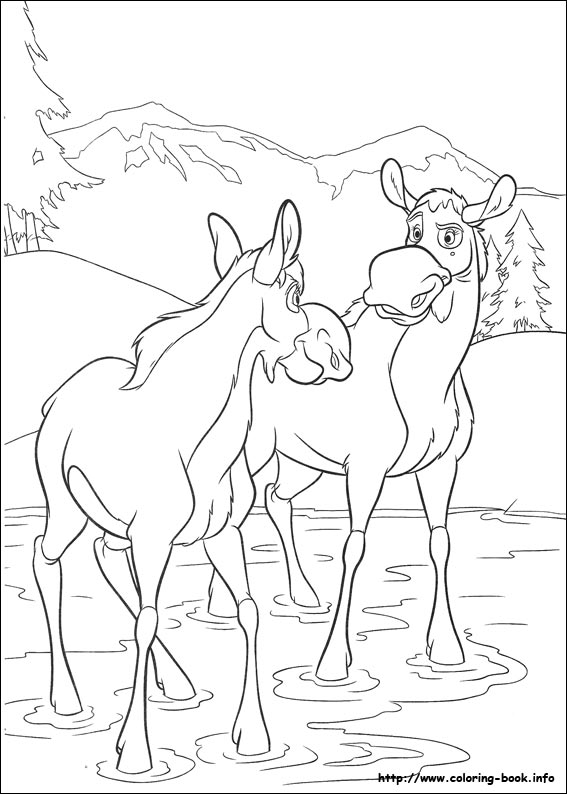 Brother Bear 2 coloring picture