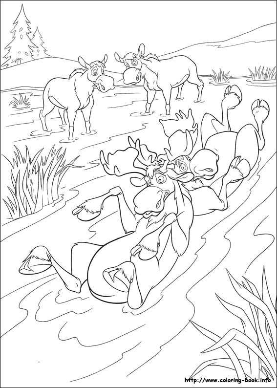 Brother Bear 2 coloring picture