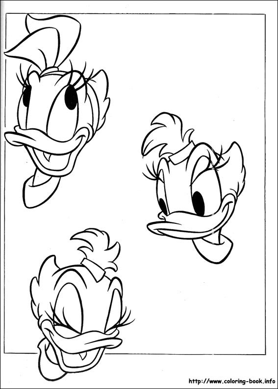 Donald coloring picture