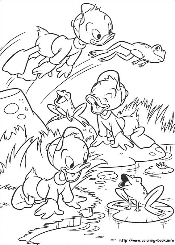 Donald coloring picture