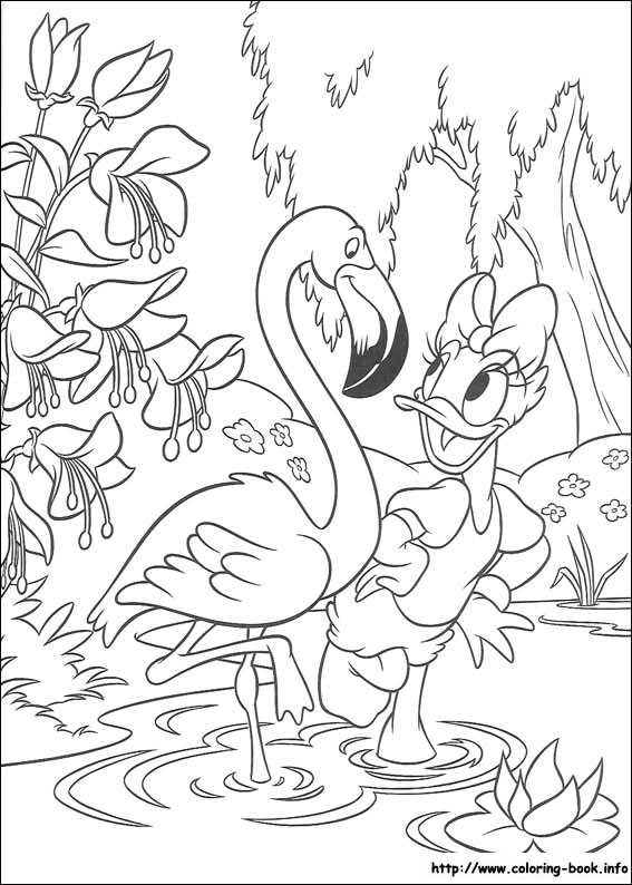 Donald coloring picture