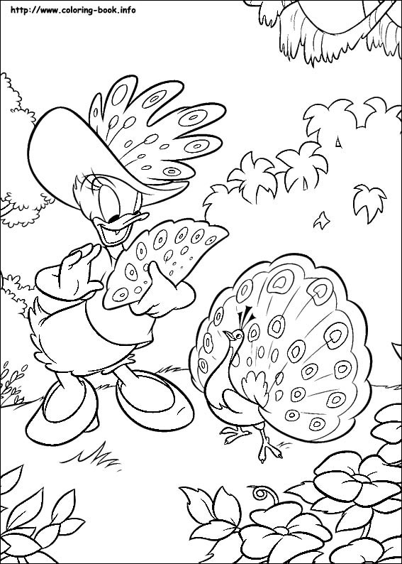 Donald coloring picture