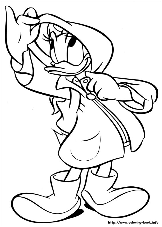 Donald coloring picture