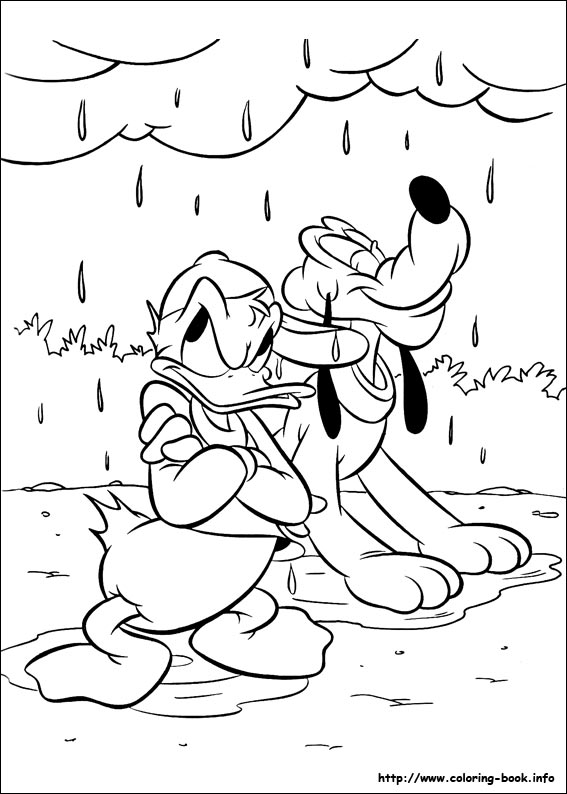 Donald coloring picture