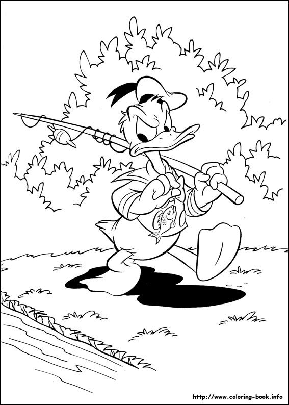 Donald coloring picture