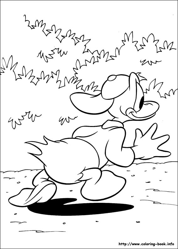 Donald coloring picture