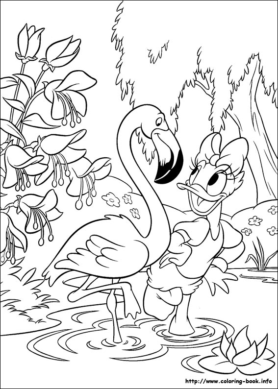 Donald coloring picture