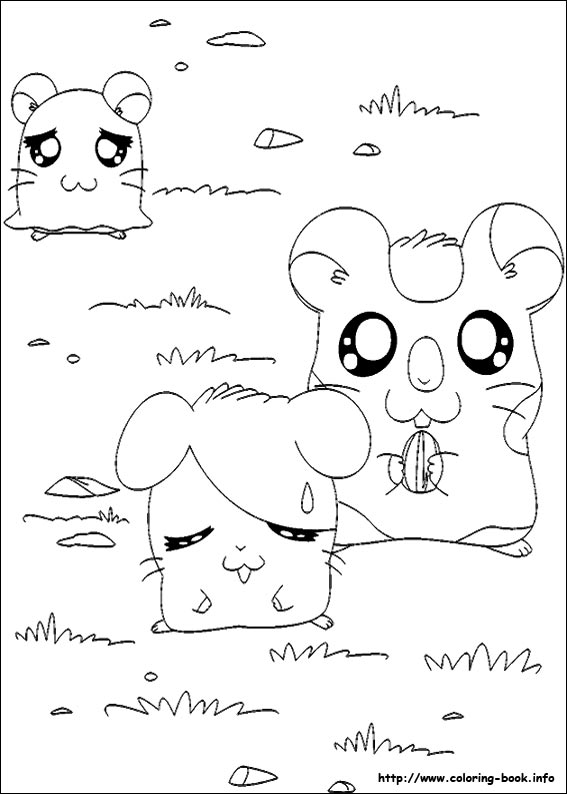 Hamtaro coloring picture