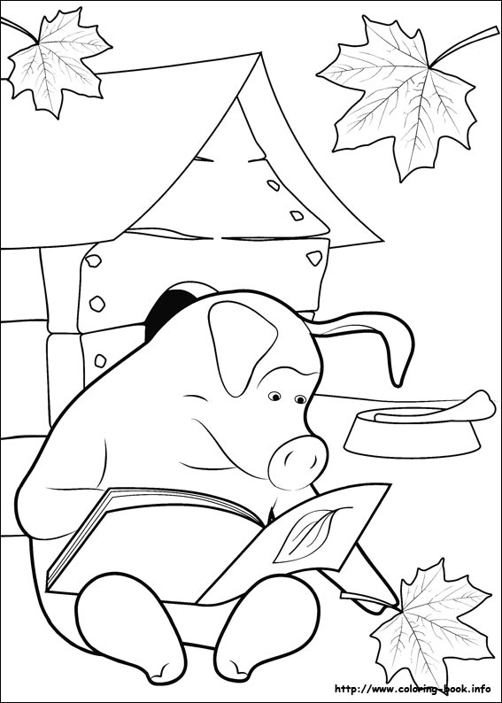 Masha and the Bear coloring picture