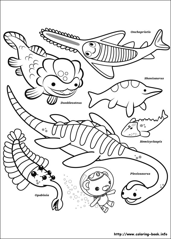 The Octonauts coloring picture