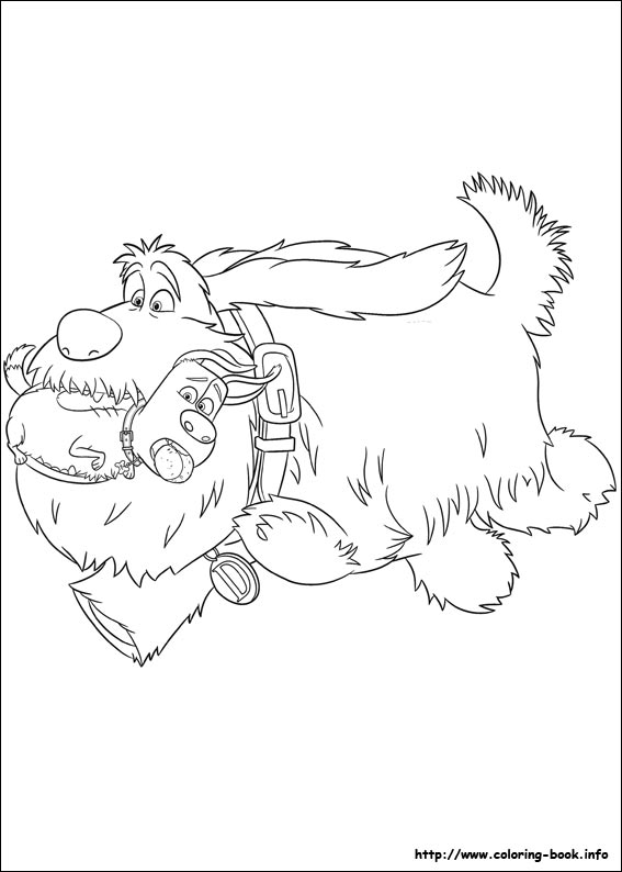 The secret life of Pets coloring picture