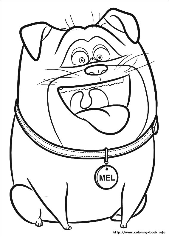 The secret life of Pets coloring picture