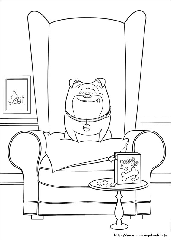 The secret life of Pets coloring picture